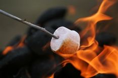 image of toasting marshmallow