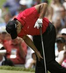 The Tiger Woods Guide to Succeeding Online