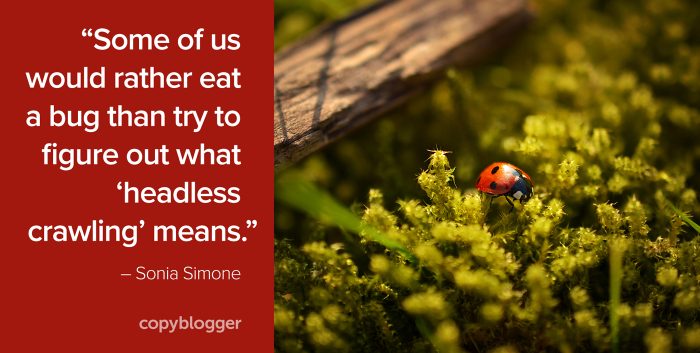 "Some of us would rather eat a bug than try to figure out what 'headless crawling' means." – Sonia Simone