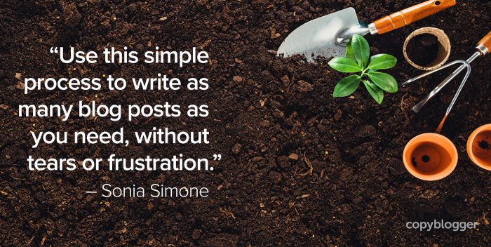 "Use this simple process to write as many blog posts as you need, without tears or frustration." – Sonia Simone