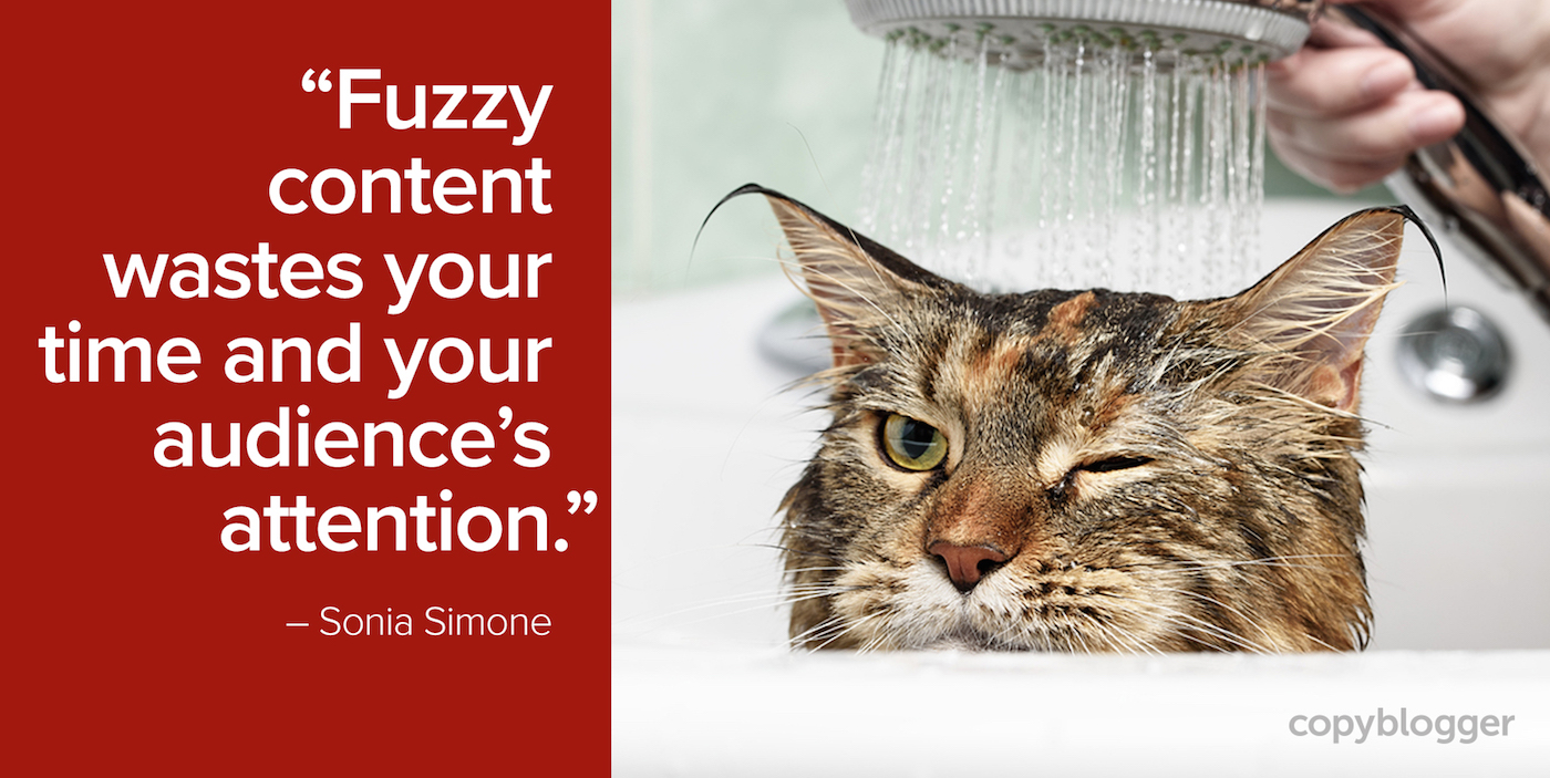"Fuzzy content wastes your time and your audience's attention." – Sonia Simone